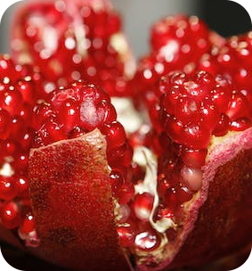 Pomegranate Berry