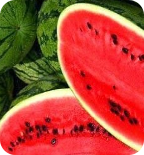 Watermelon Candy